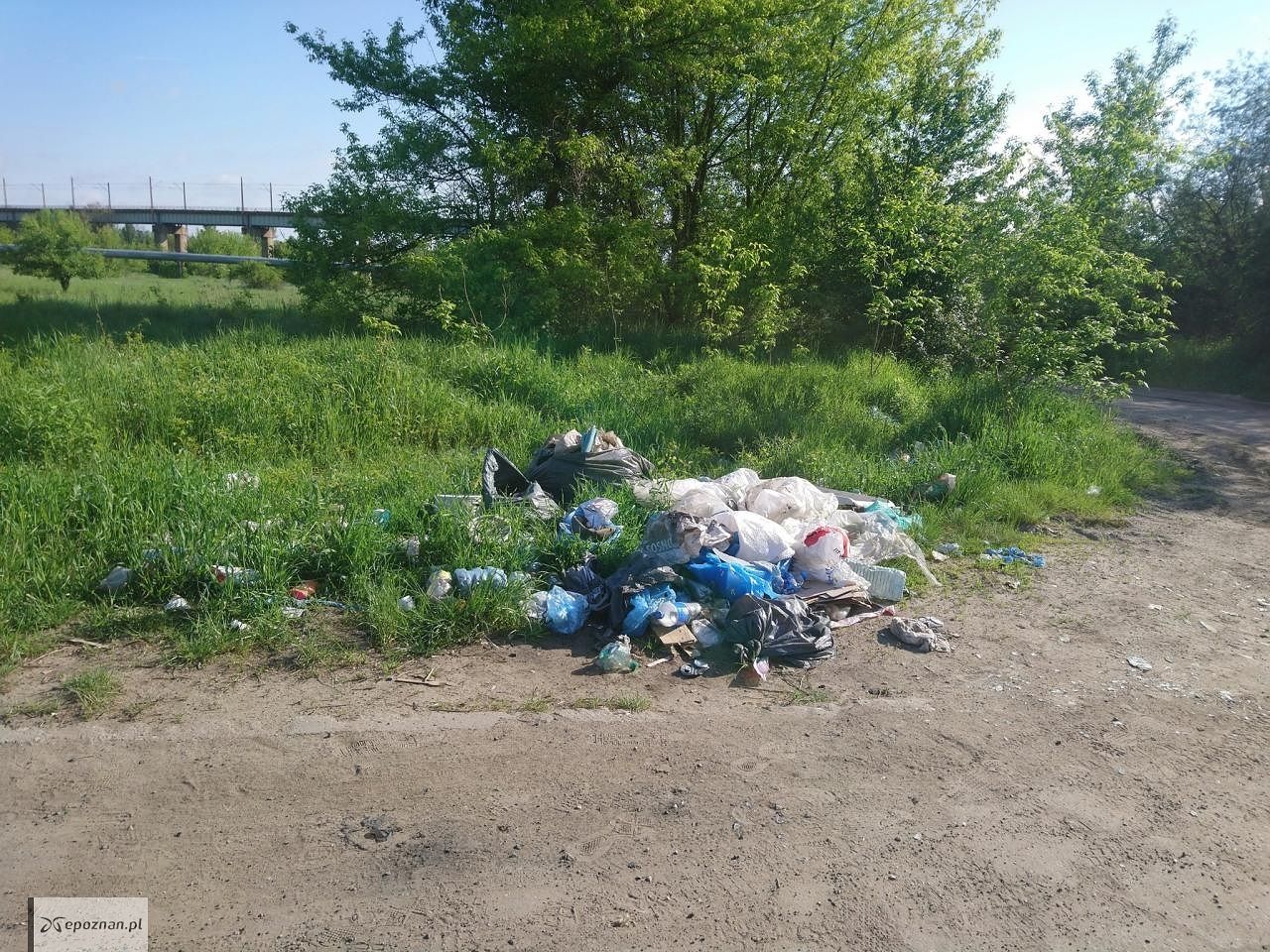 fot. Straż miejska