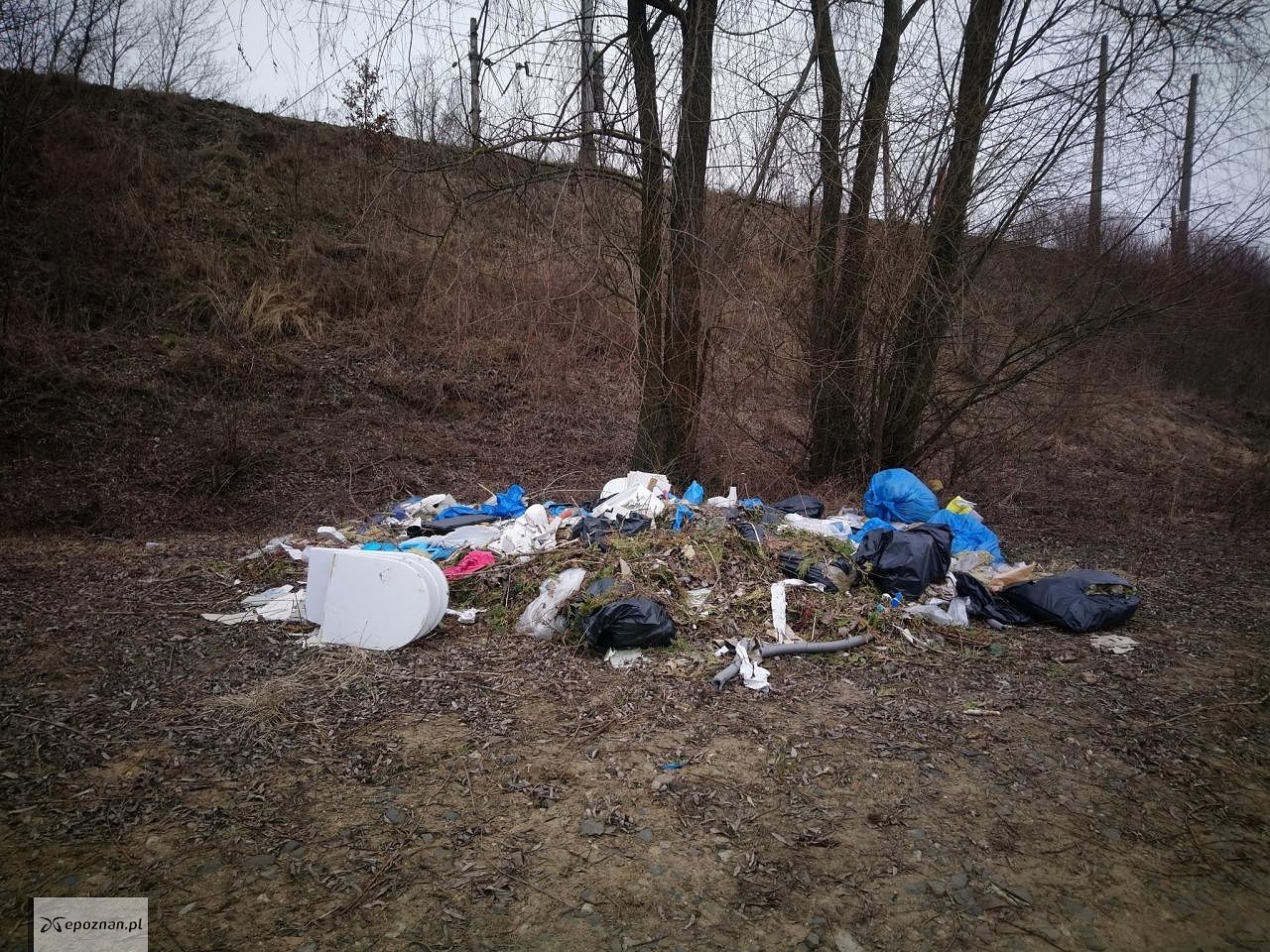 fot. Straż miejska