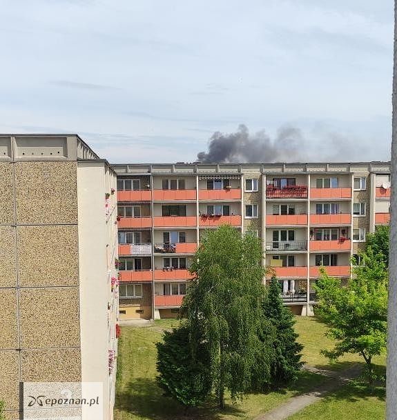 fot. Czytelnik