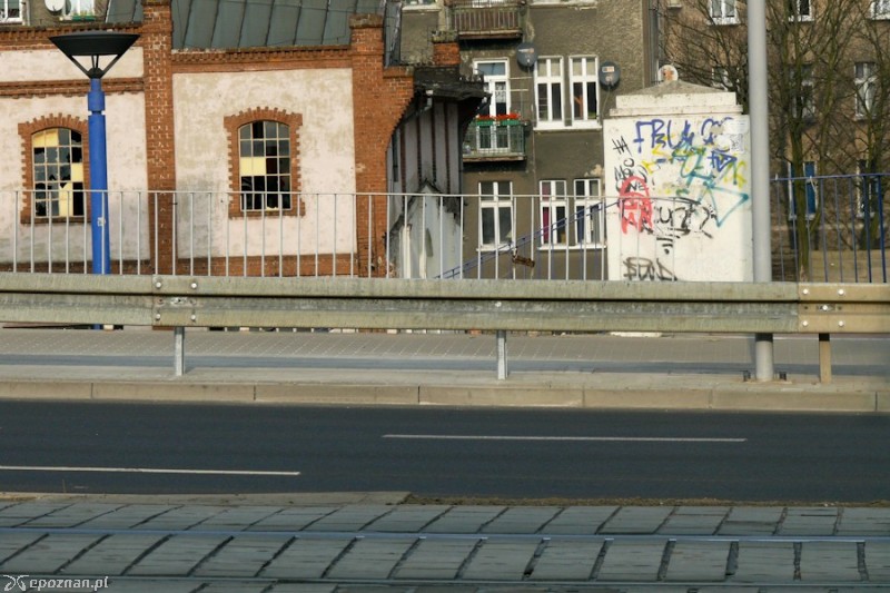 fot. Elżbieta Skowron