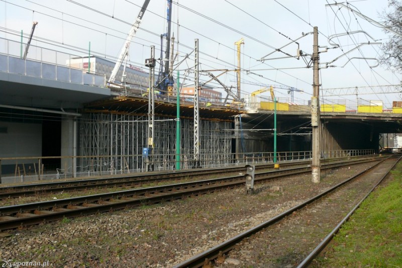 fot. Elżbieta Skowron