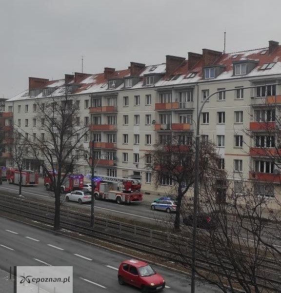 fot. Czytelniczka