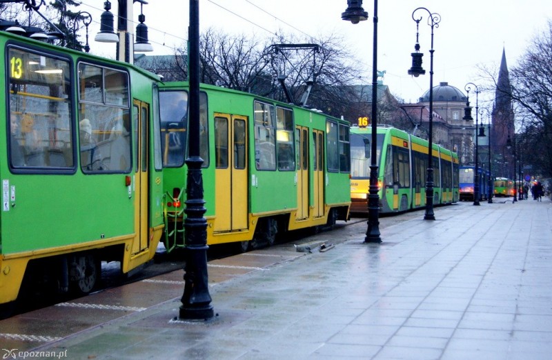 fot. Włodzimierz  Hoppel