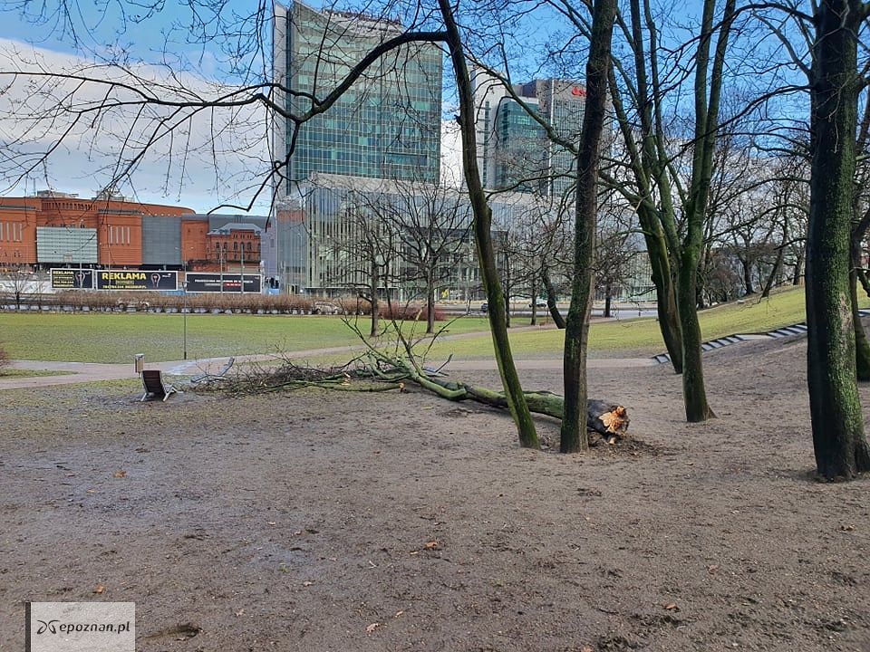 Park Drwęskich | fot. Jacek
