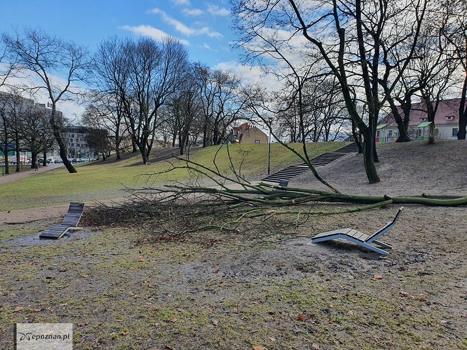 Park Drwęskich | fot. Jacek
