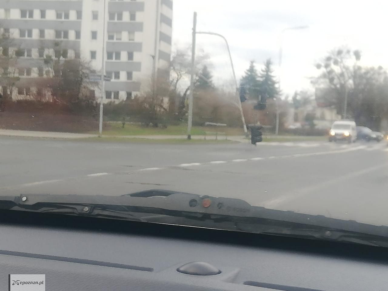 fot. Maestro