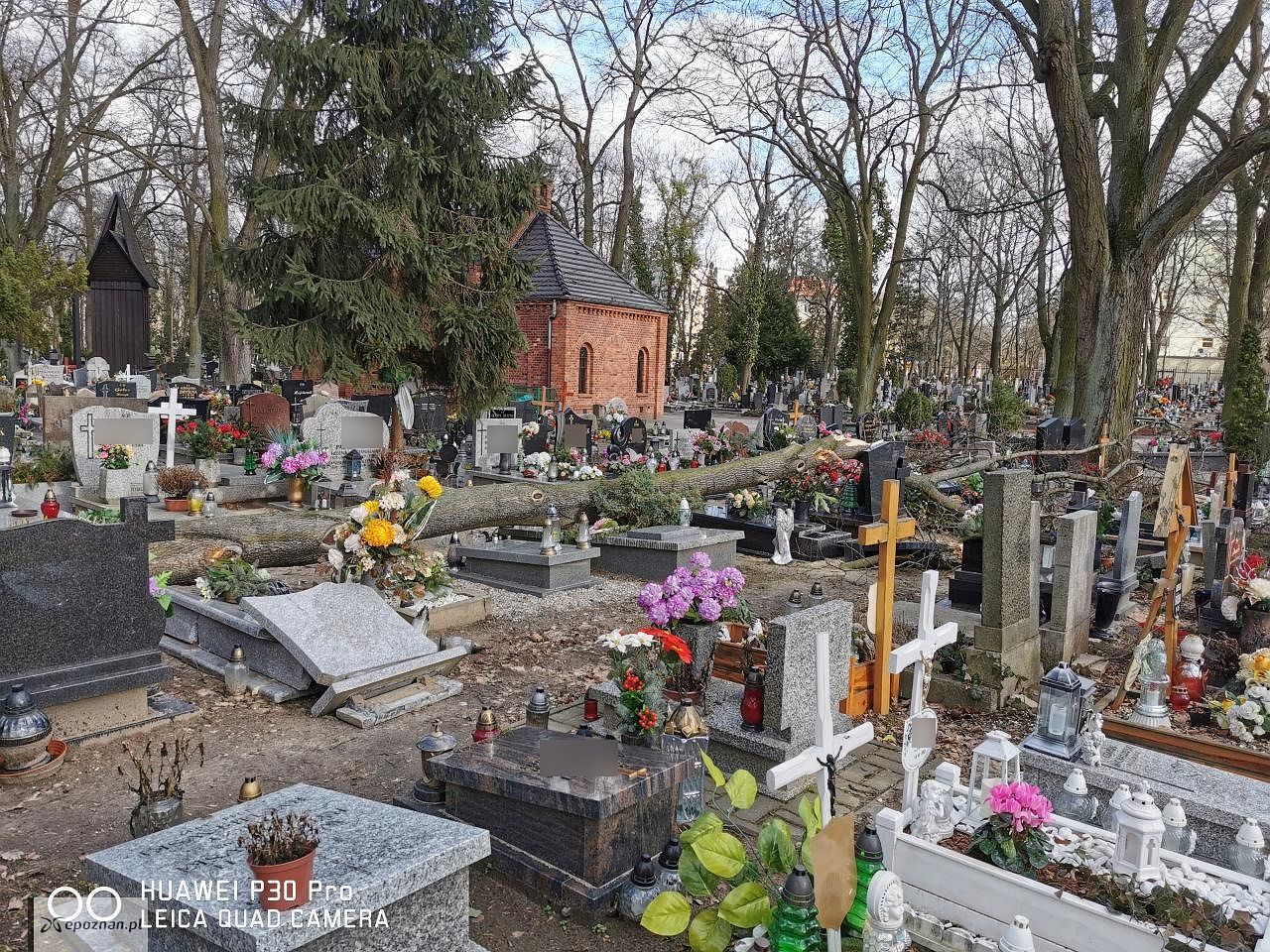 Nowina | fot. Czytelnik