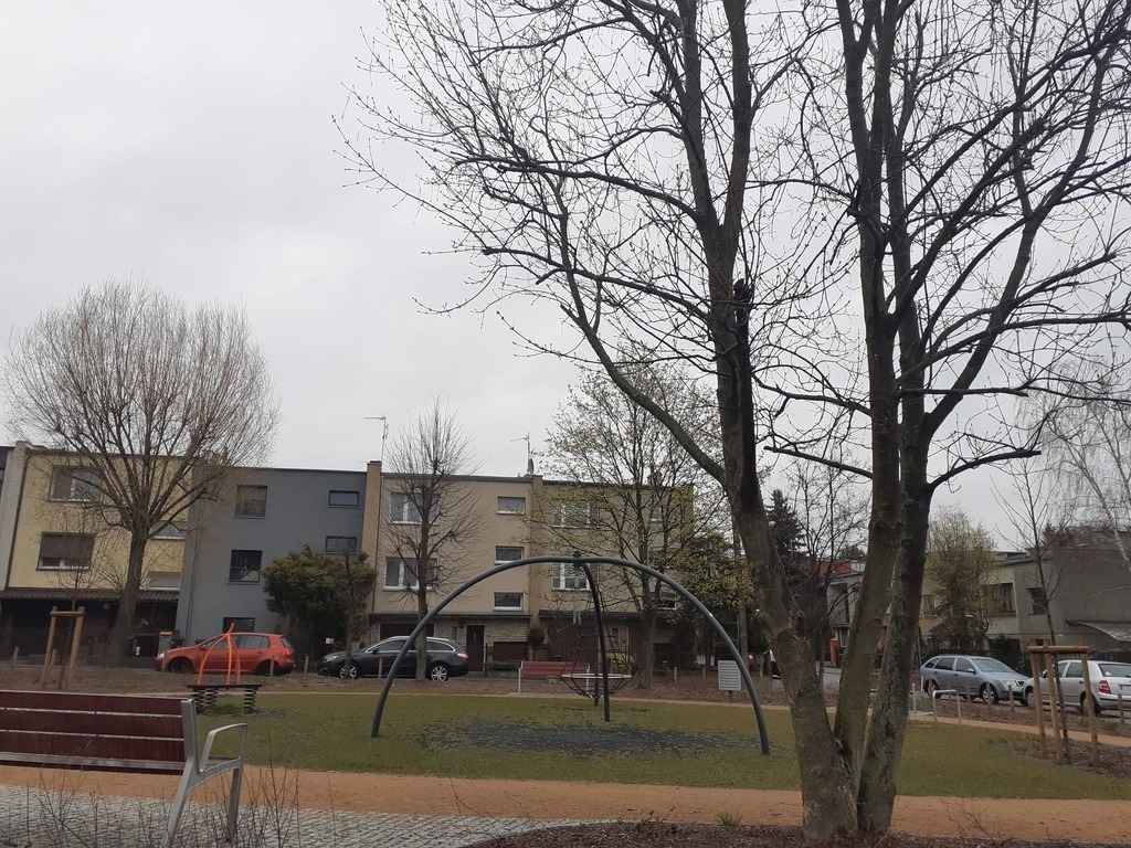 fot. ZZM Poznań