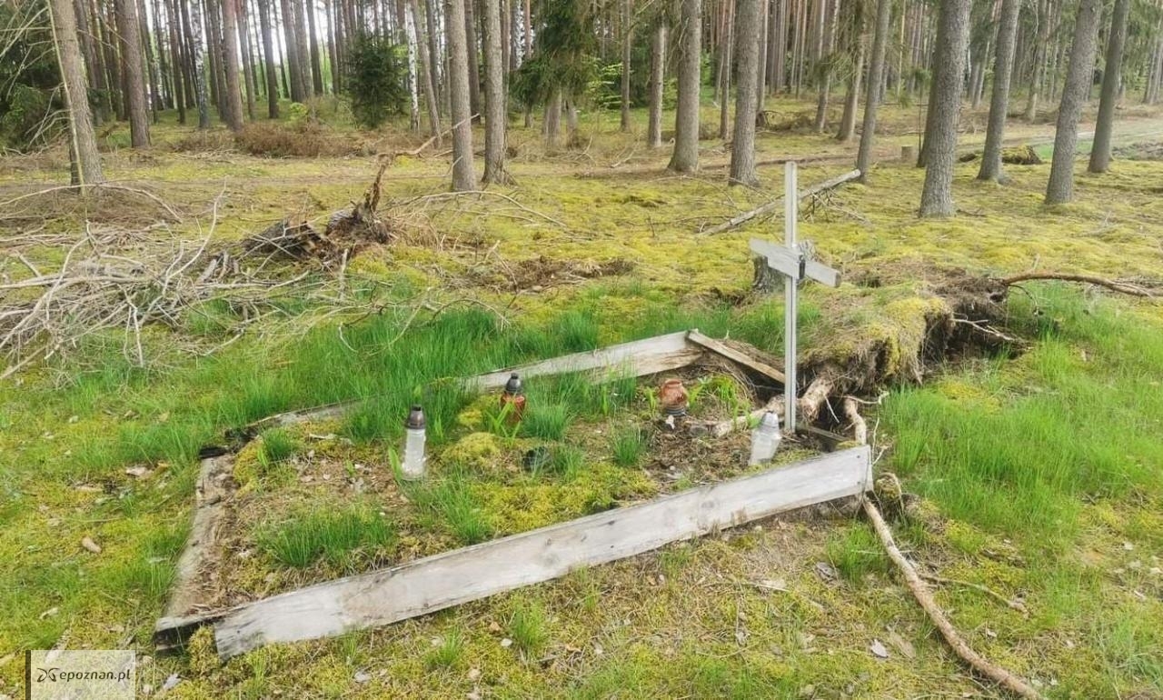 fot. Pracownia Badań Historycznych i Archeologicznych "Pomost".