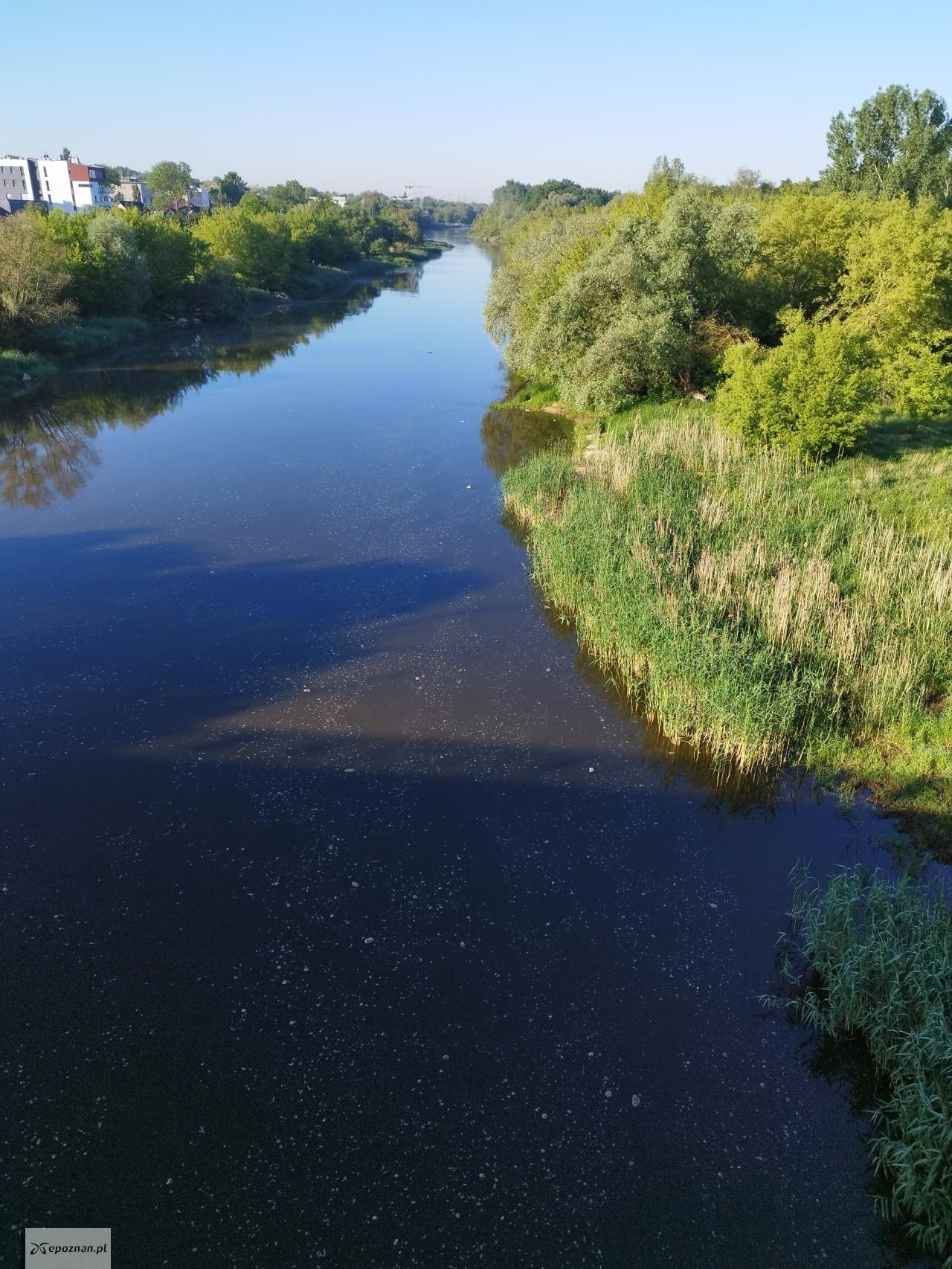 fot. Czytelnik
