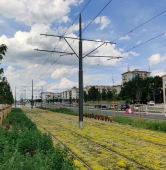 fot. Maciej