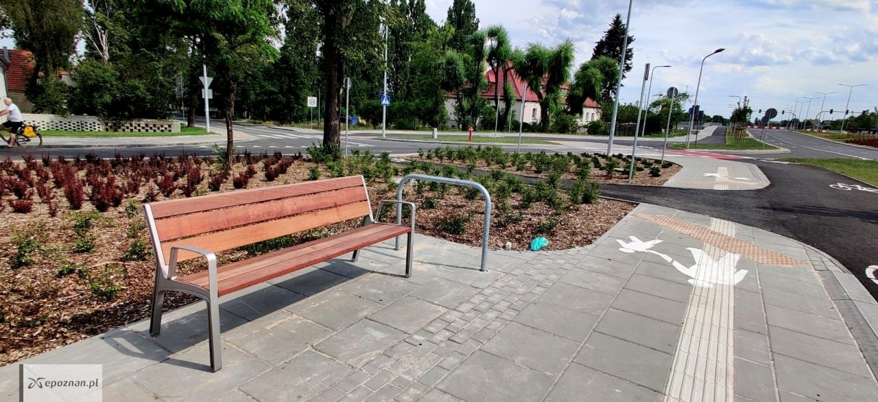 fot. Maciej