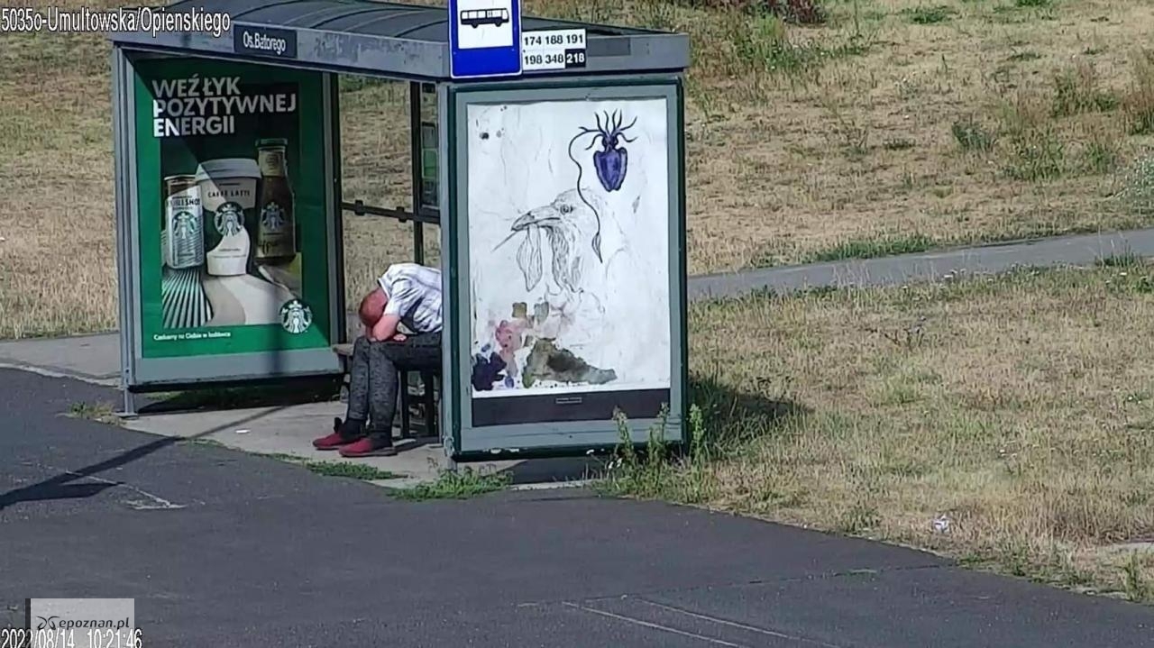 fot. Straż Miejska Miasta Poznania