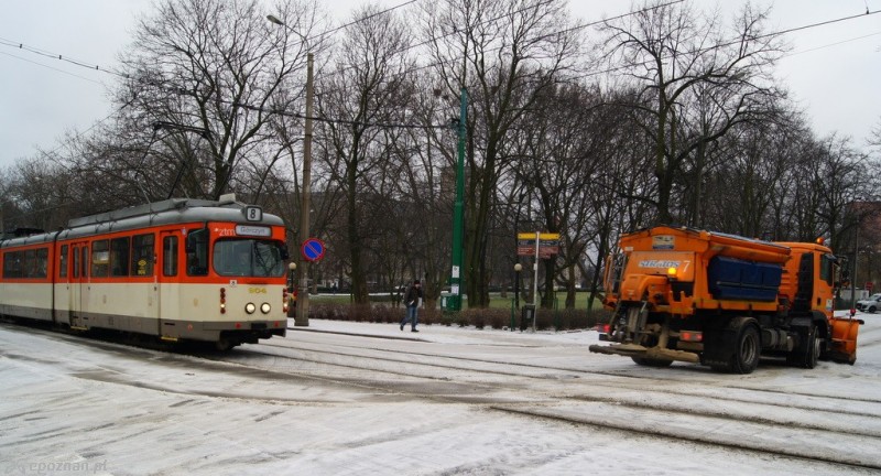 fot. Włodzimierz  Hoppel