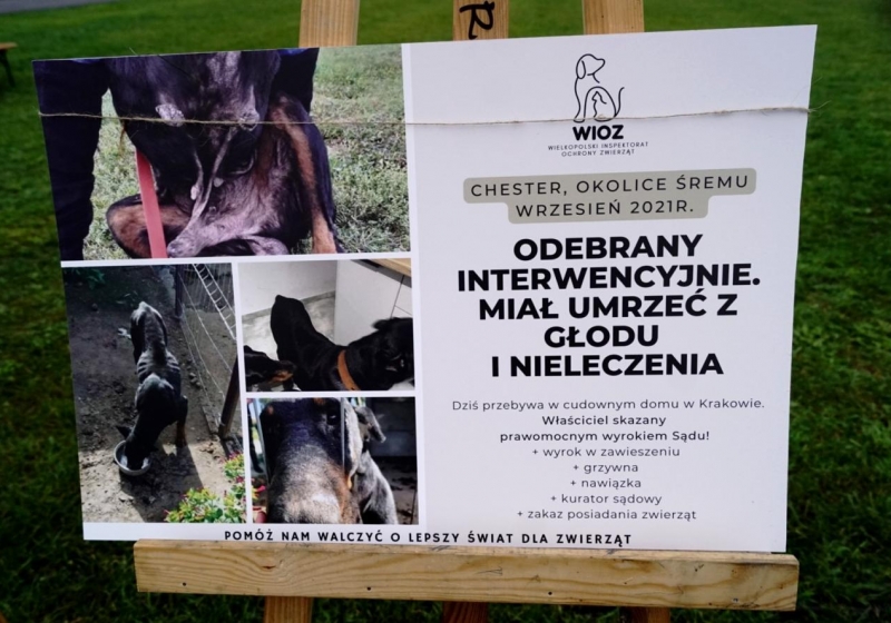 fot. Katarzyna Michalak