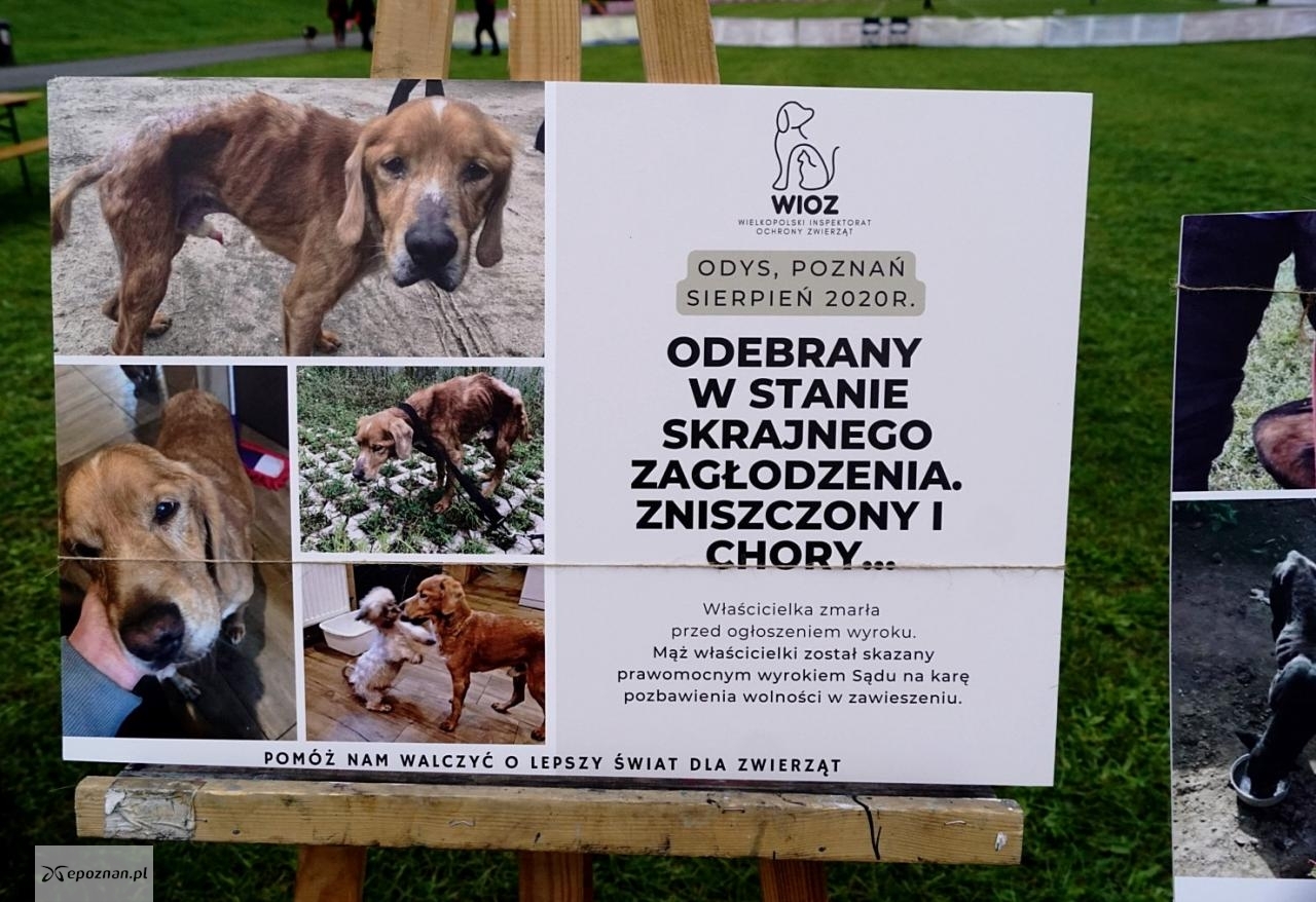 fot. Katarzyna Michalak