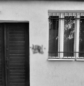 fot. policja