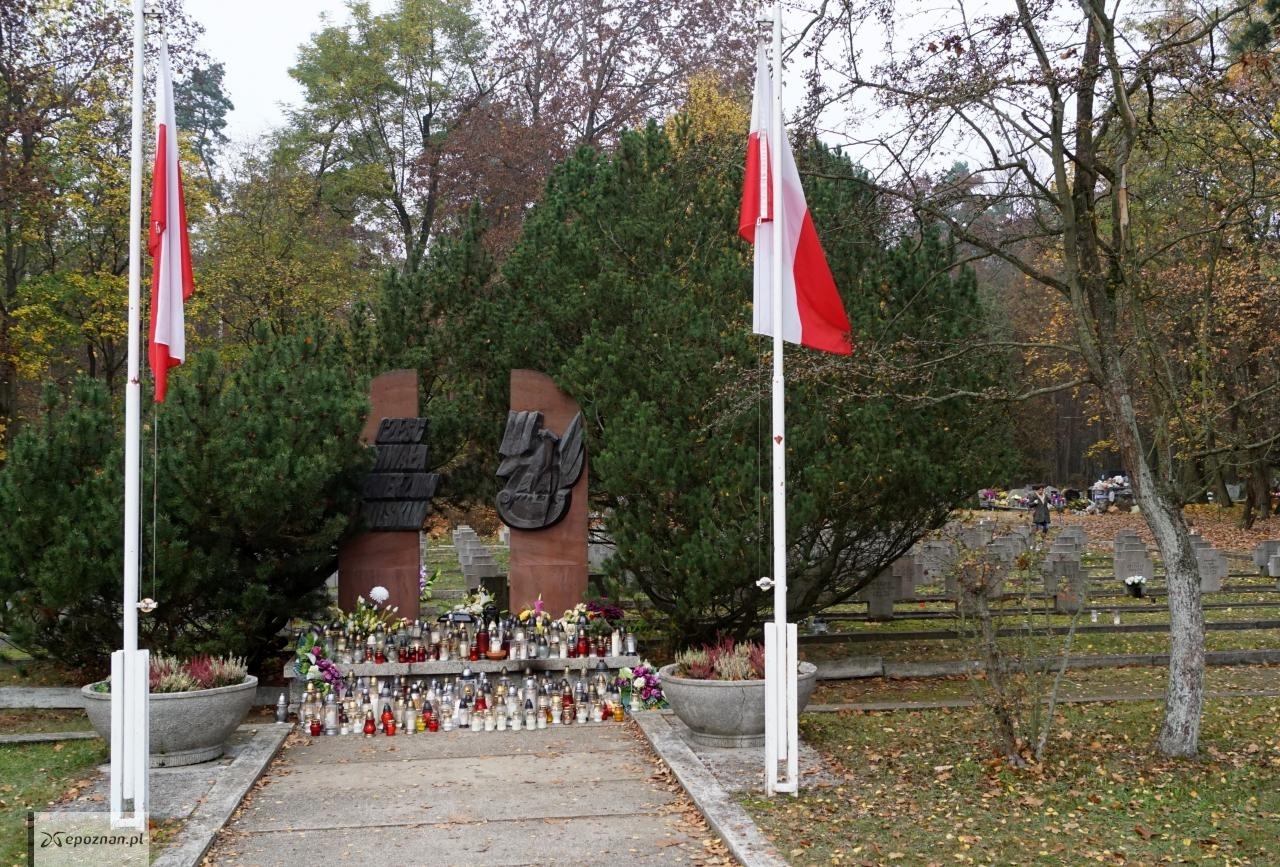 fot. Katarzyna Michalak