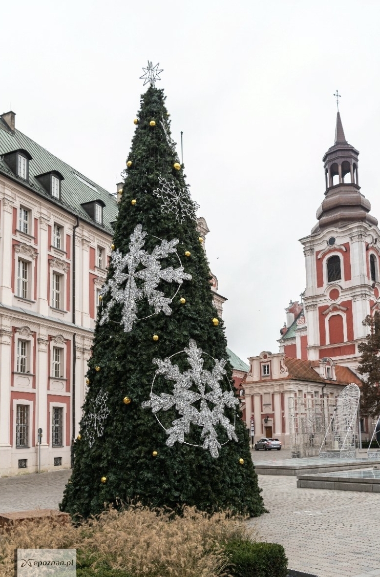 fot. UM Poznań