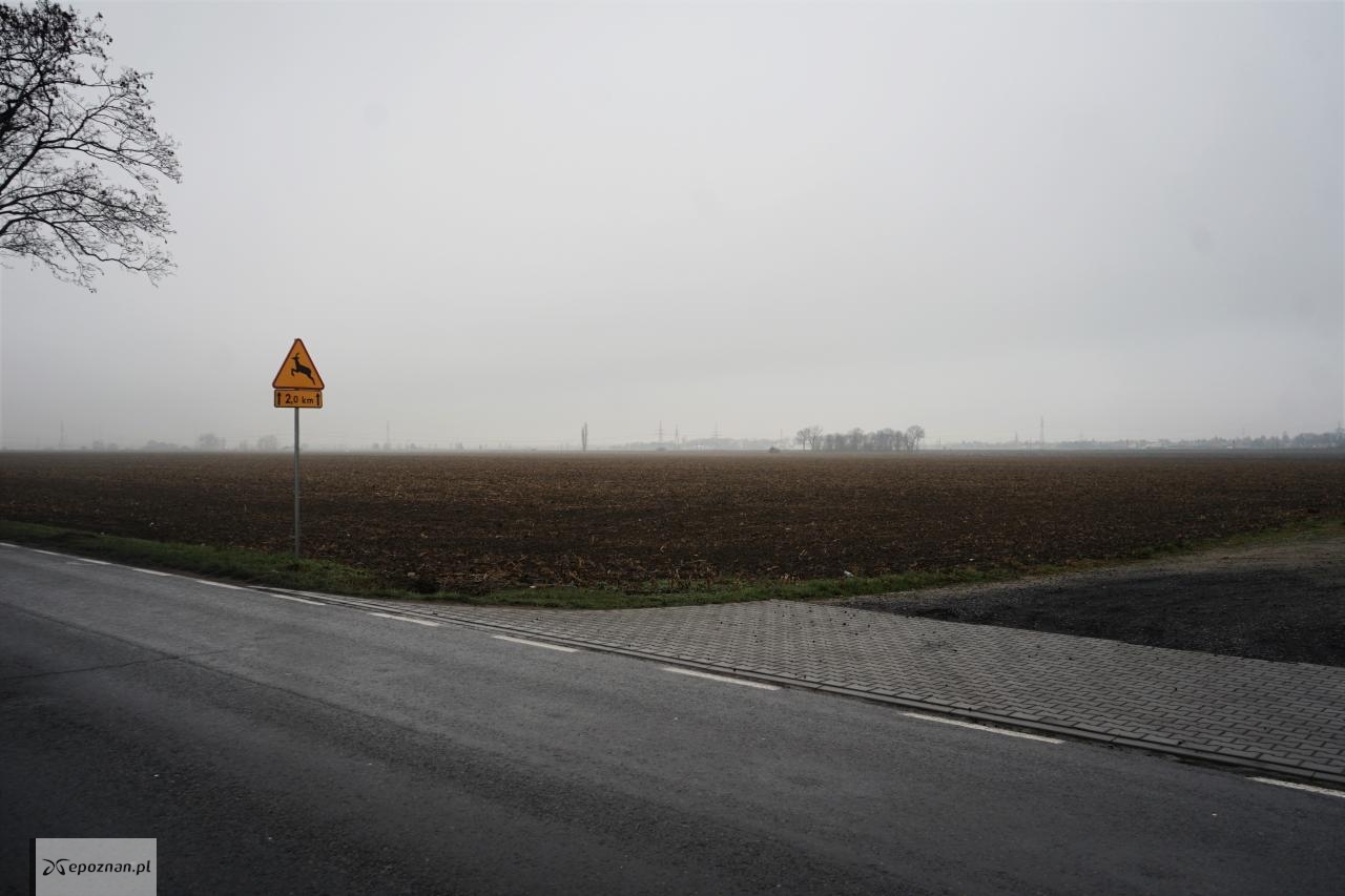 fot. WUW Poznań