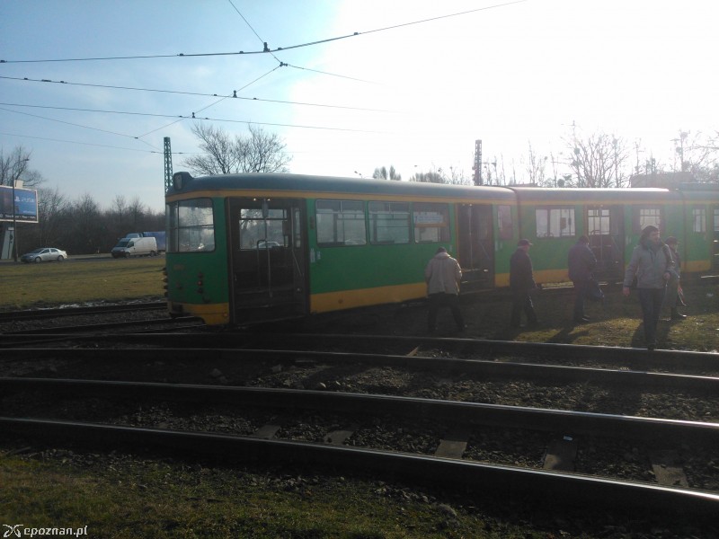 fot. Paweł Krzyżaniak