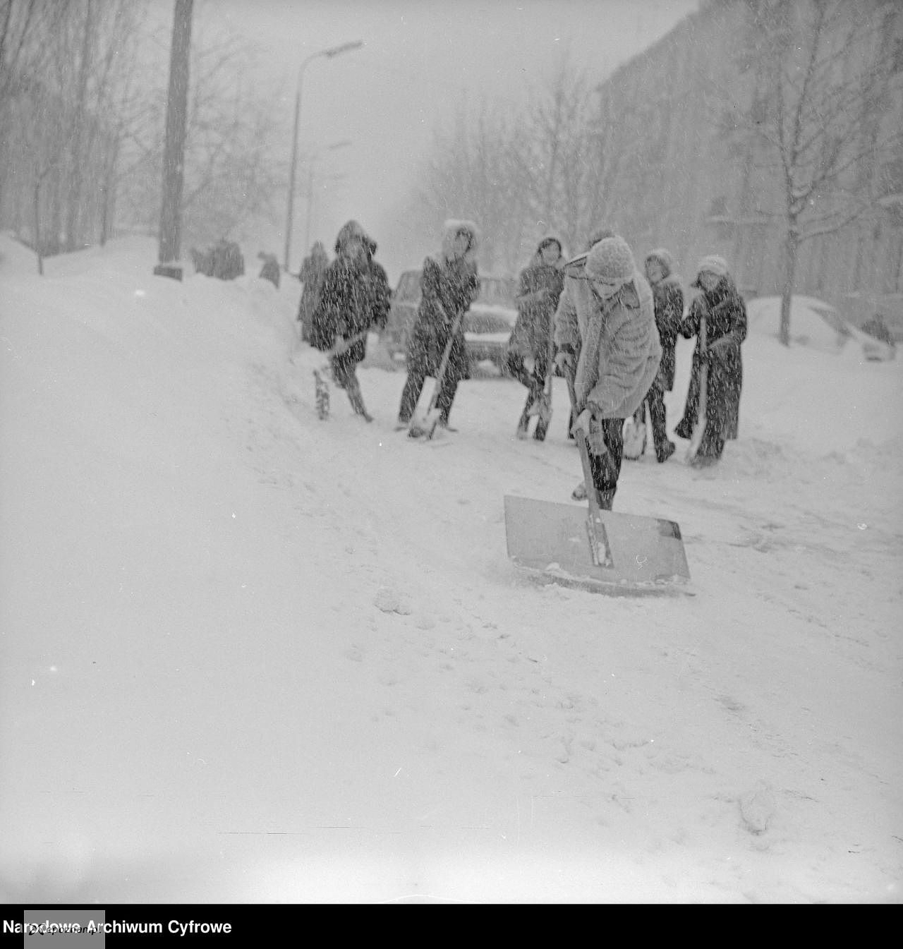 fot. Grażyna Rutkowska / NAC, sygn. 3/40/0/14/161